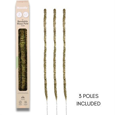 3 Pack Benadble Moss Pole Thin