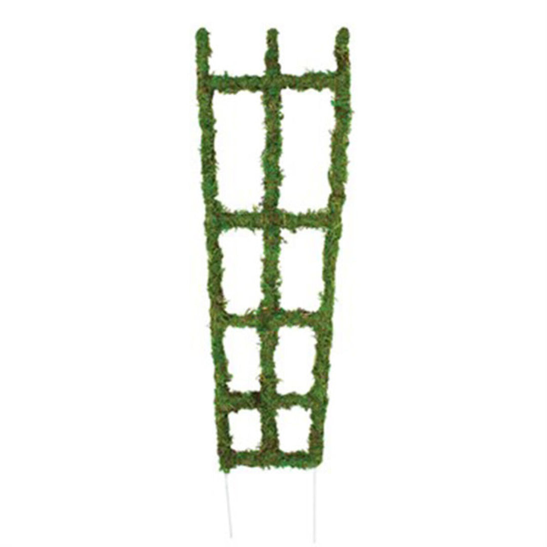 Moss Trellis - Green