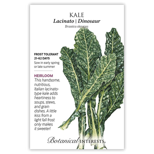 Kale Lacicato Dinosaur