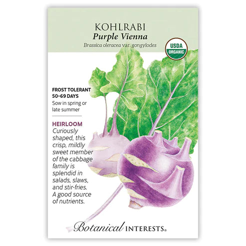 Kohlrabi Purple Vienna Org