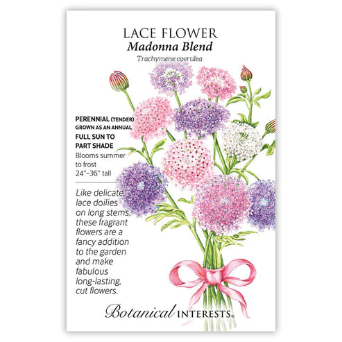 Lace Flower Madonna Blend