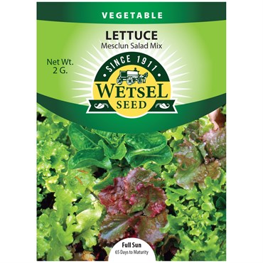 Lettuce Mesclun Salad Mix Seeds