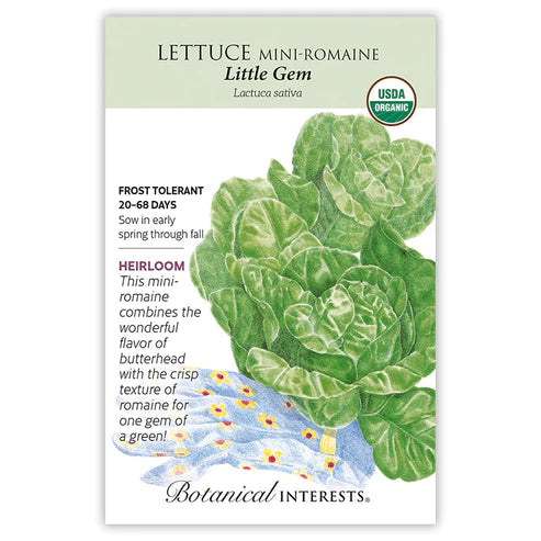 Lettuce Mini-Romaine Little Gem ORG