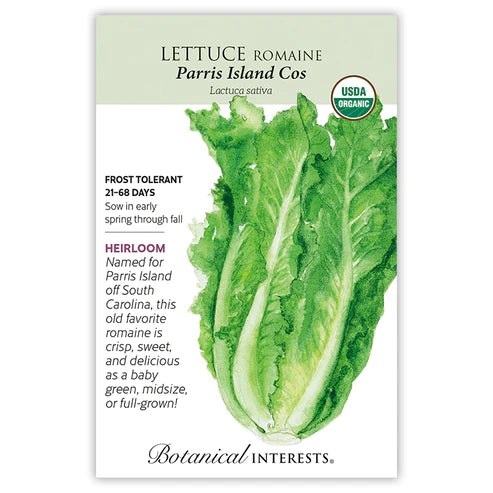 Lettuce Romaine Parris Island Cos ORG