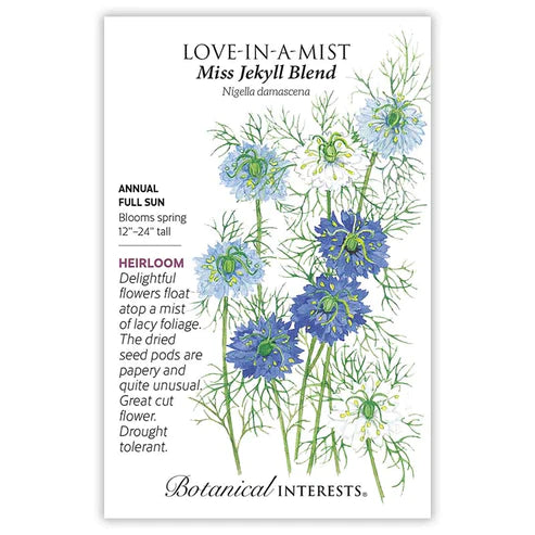 Love-in-a-Mist Miss Jekyll Seed Blend