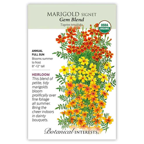 Marigold Signet Gem Blend ORG