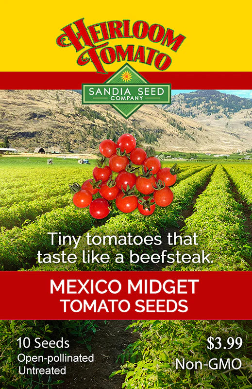 Mexico Midget Tomato Seed
