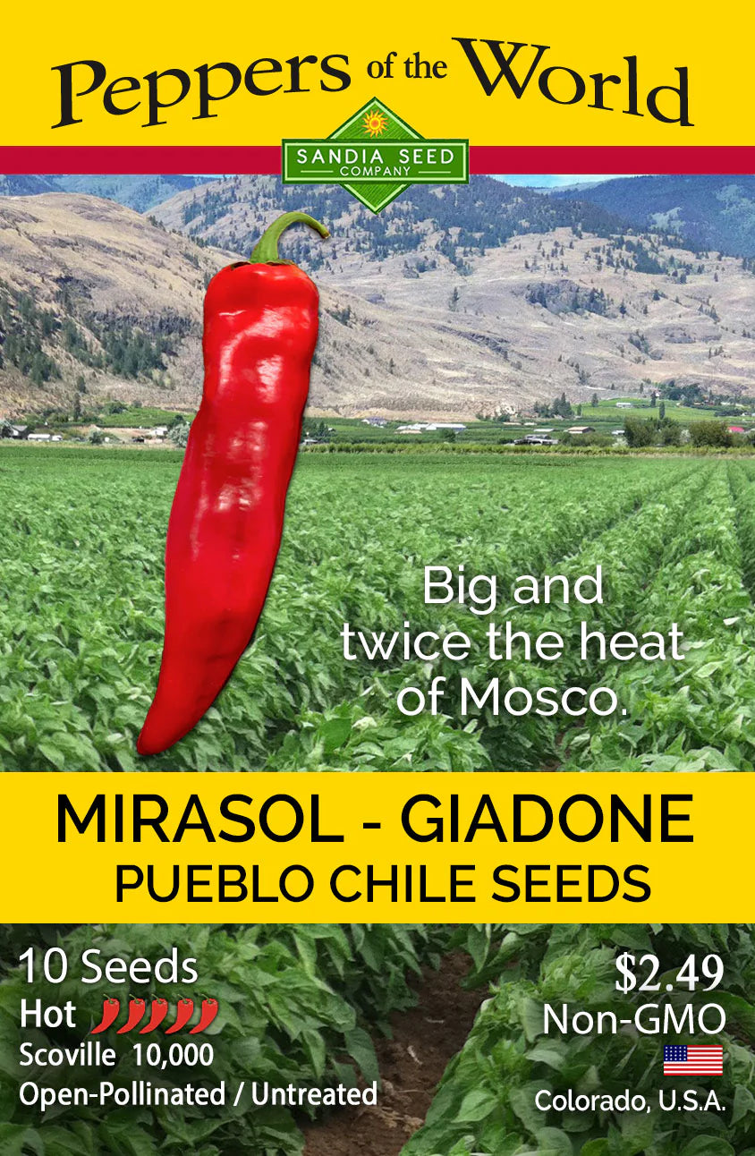 Mirasol Giadone Pueblo Pepper Seeds