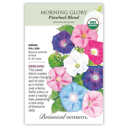 Morning Glory Pinwheel Seed Blend ORG