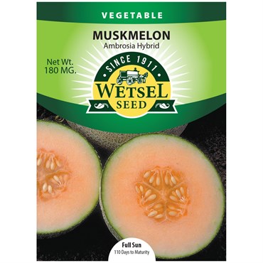 Muskmelon Ambrosia Hybrid Seeds
