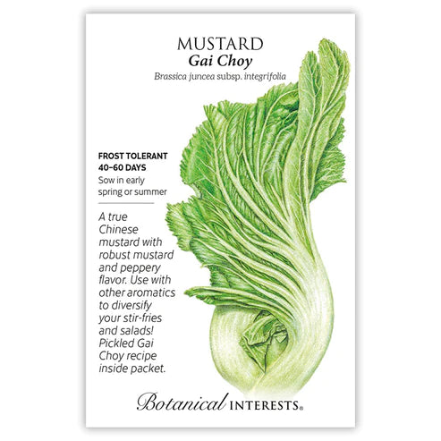 Mustard Gai Choy Seeds