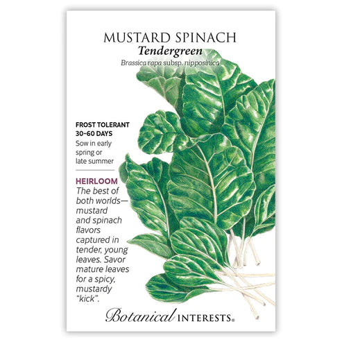 Mustard Spinach Tendergreen Seeds