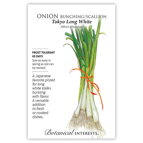 Onion Bunching/Scallion Tokyo Long White Seeds