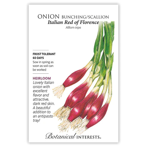 Onion Bunching / Scallion (red) Italian Red of Florence Seeds