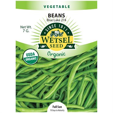 Organic Blue Lake Beans Seeds