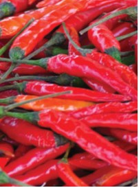4" Chef Jeff Pepper Thai Dragon