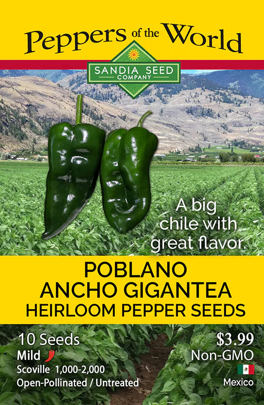 Poblano Ancho Gigantea Pepper Seed
