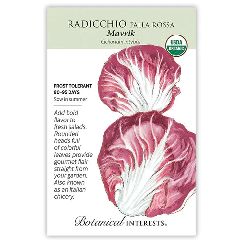 Radicchio Palla Rossa Mavrik Org