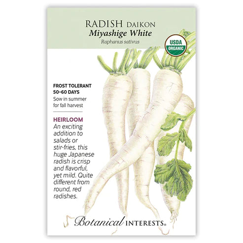 Radish Daikon Miyashige Org