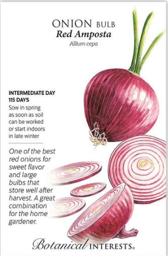 Red Amposta Bulb Onion Seeds