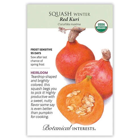 Squash Winter Red Kuri Org