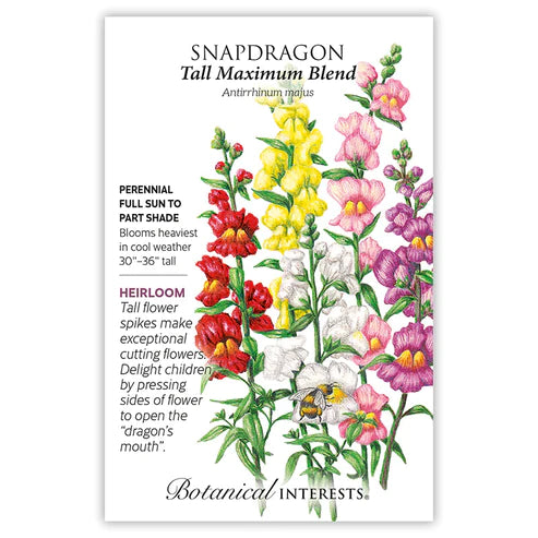 Snapdragon Tall Max Blend
