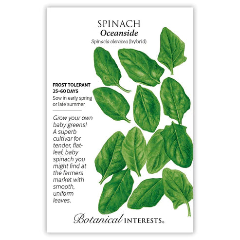 Spinach Oceanside