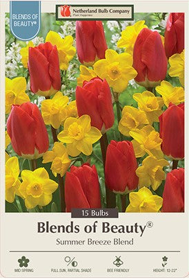 Asstd Bulbs 'Summer Breeze' Blend