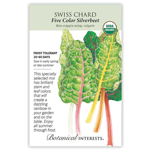 Swiss Chard Five Color Silverbeet Org