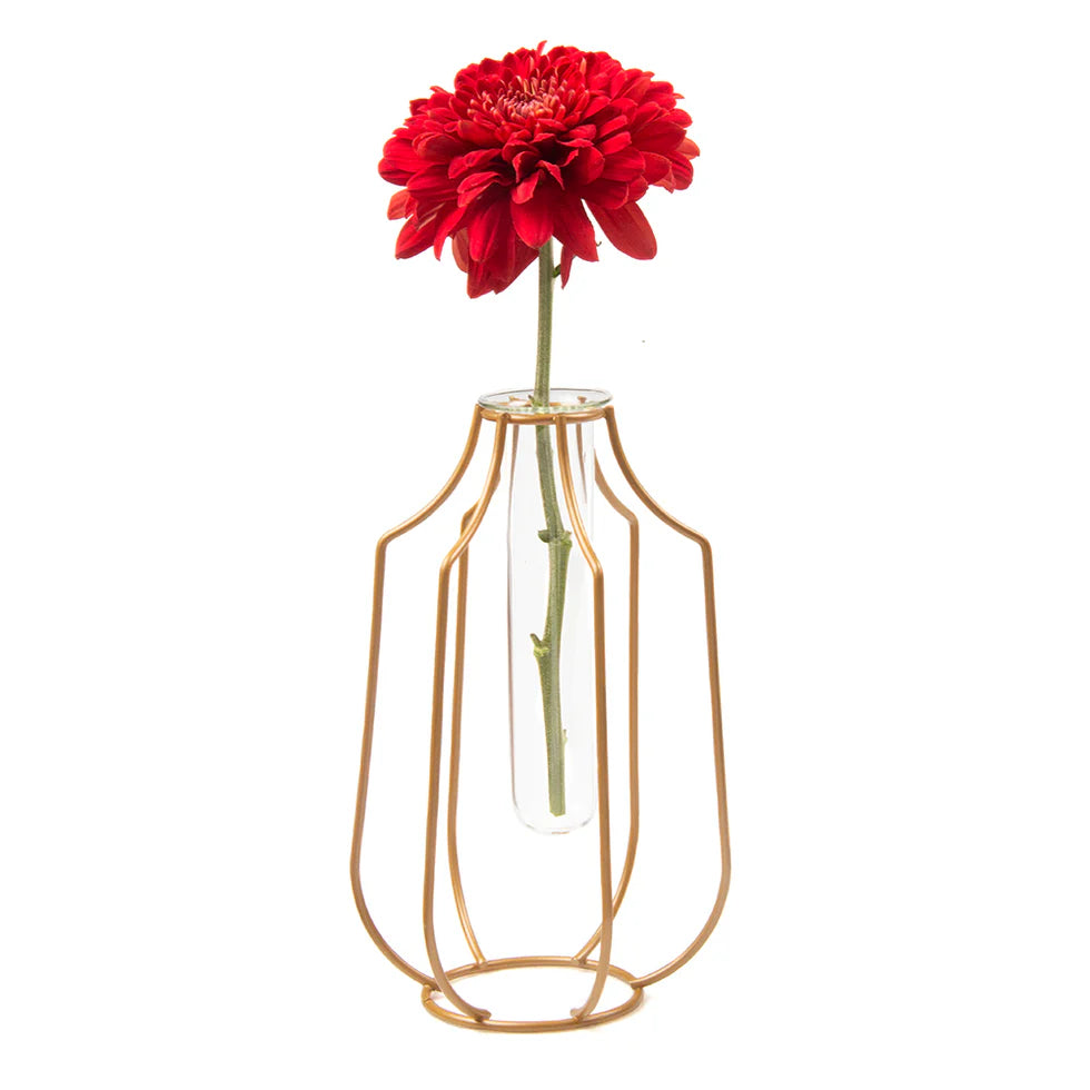 Test Tube Glass Propagation Vase