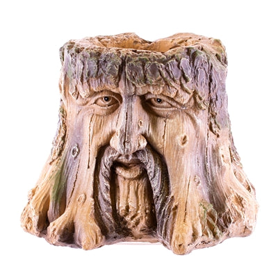 Thomas the Tree Planter