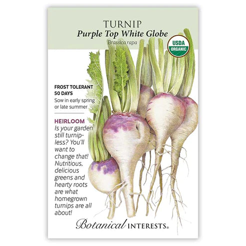 Turnip Purple Top White Globe Org