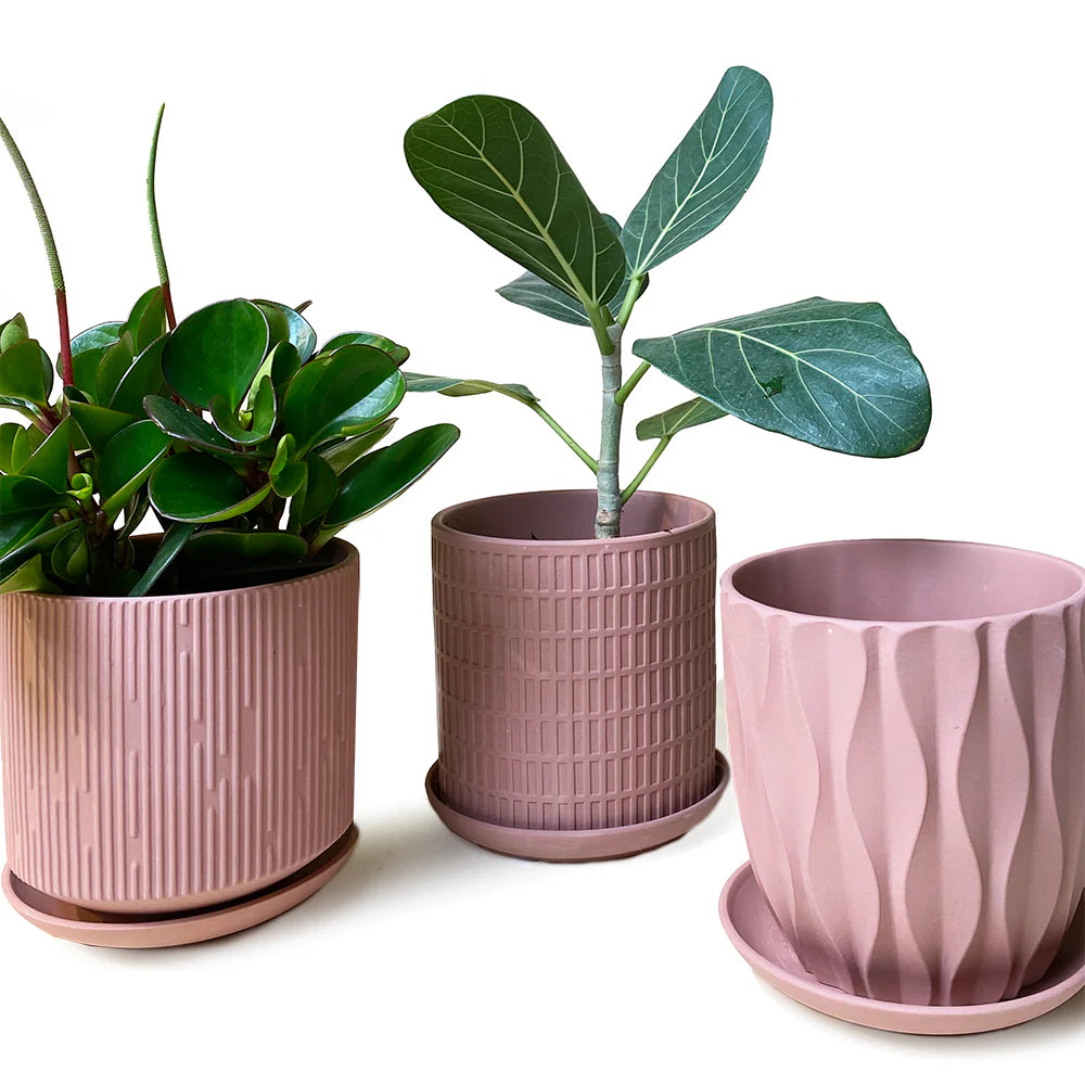 plant pots with drainage and saucer Virago Porcelain Pot w/ Drainage And Saucer