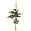 Plant Hanger - Beaded