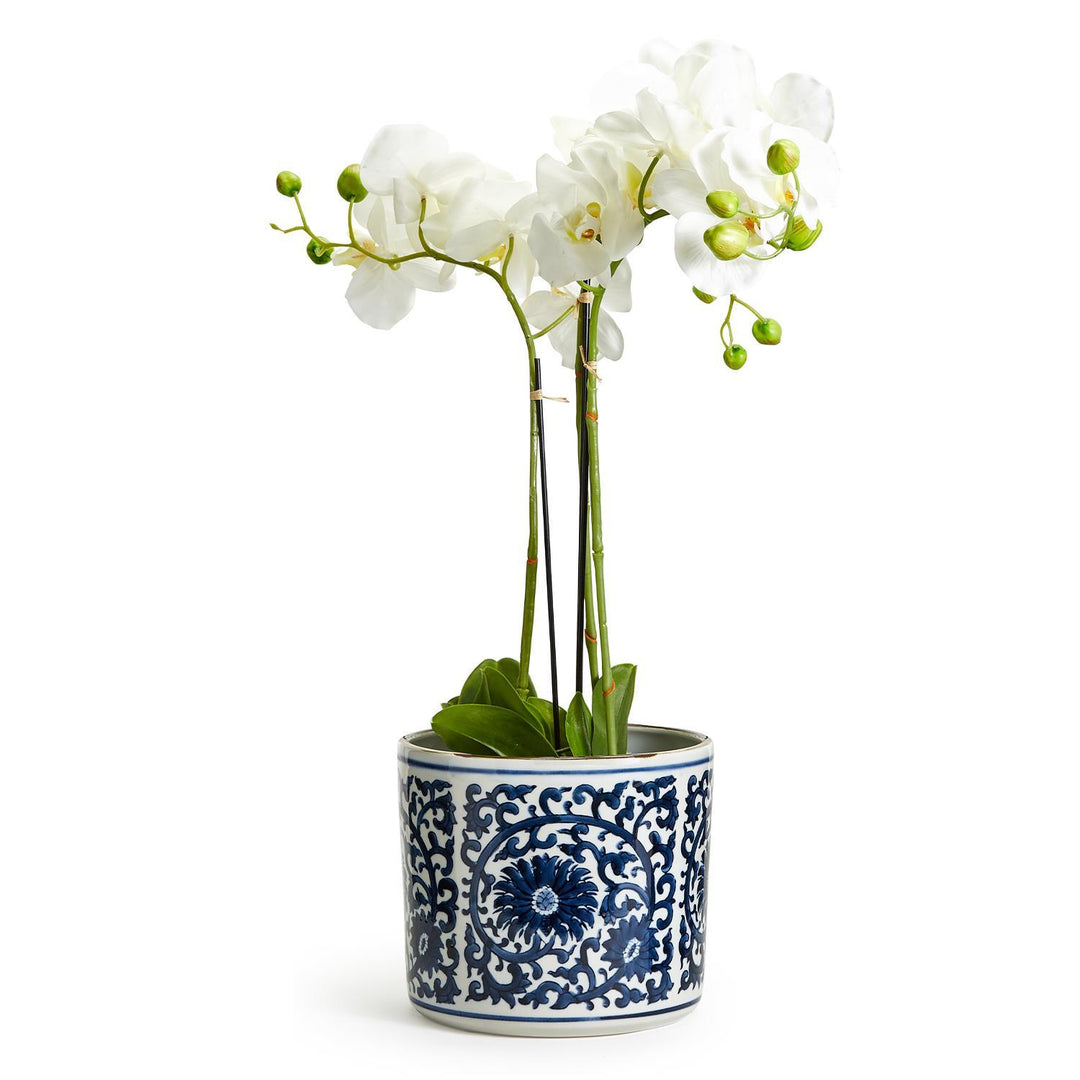 Bl & Wht Lotus Flower Vase/Pl
