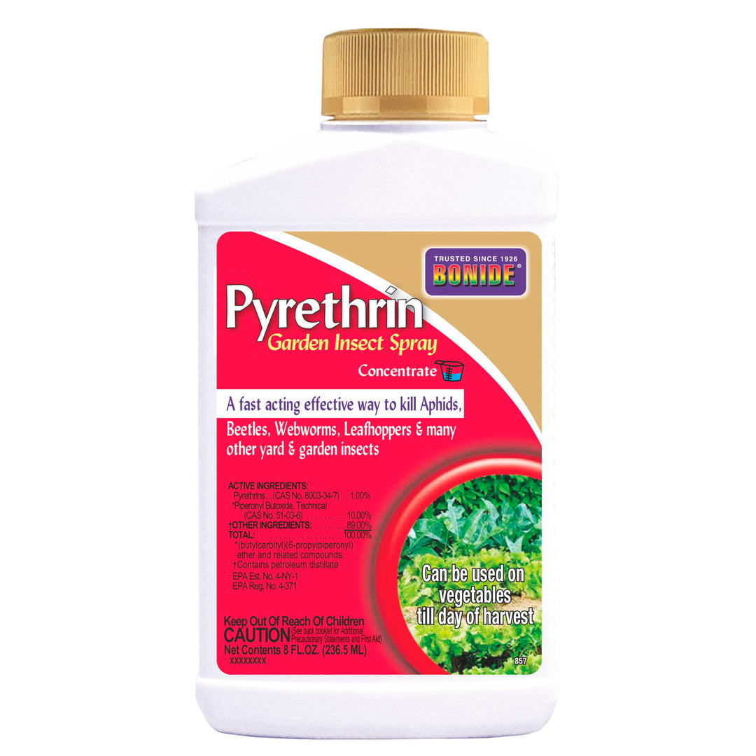 Bonide Pyrethrin Garden Insect Spray Concentrate