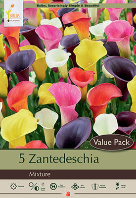 ZANTEDESCHIA MIXTURE
