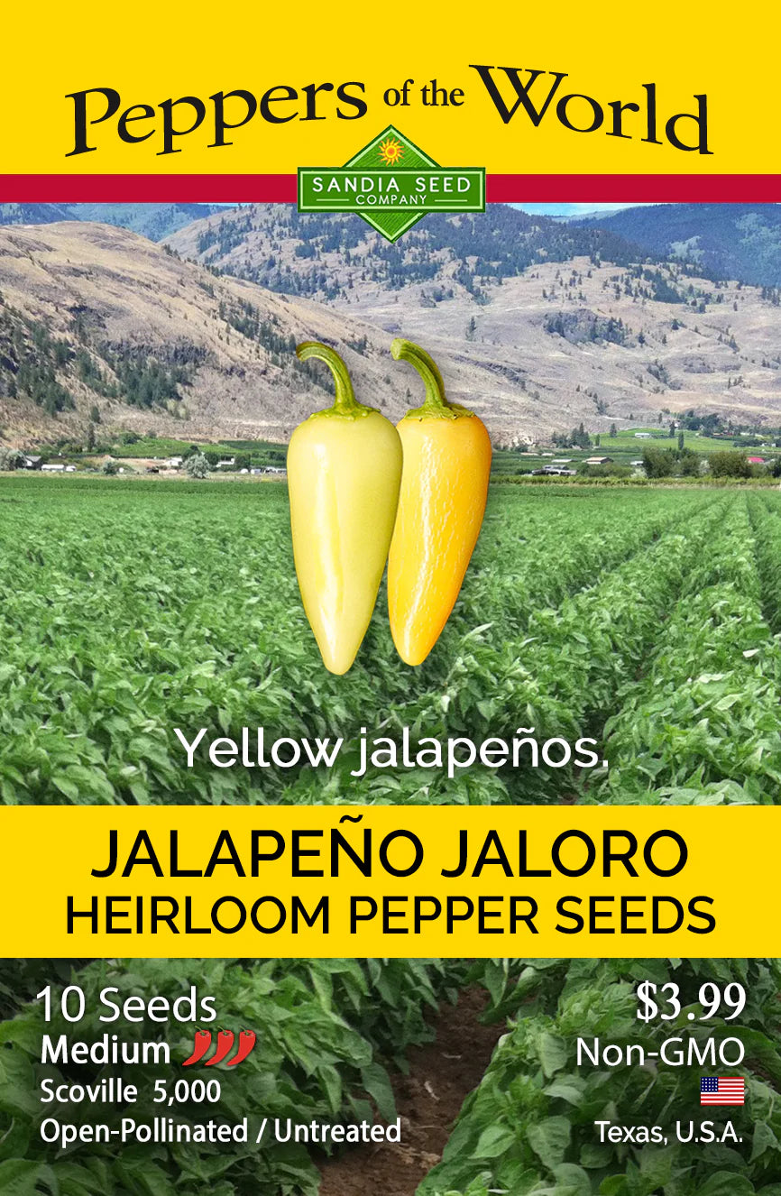 Jalapeno Jaloro Pepper Seed