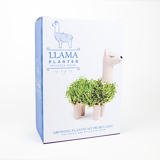 llama planter chia seeds Llama Chia Planter