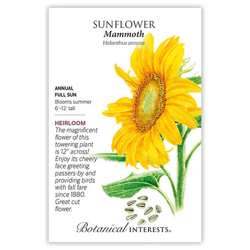Sunflower Mammoth