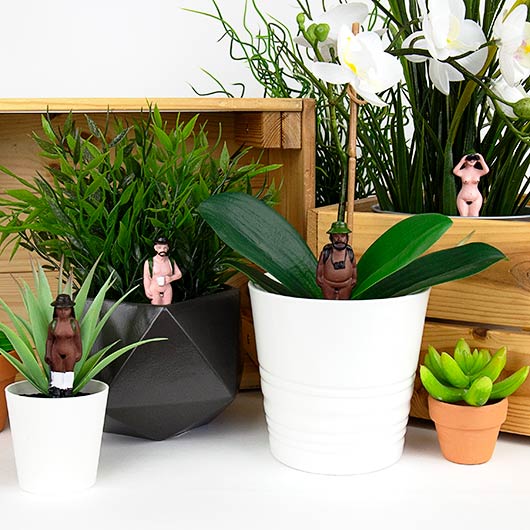 Naked Ramblers Planters