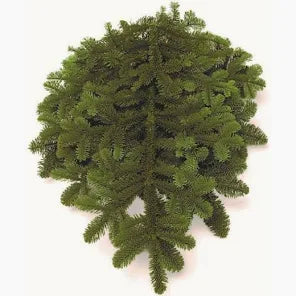 NOBLE FIR BOUGHS