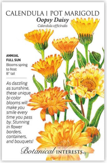 Oopsy Daisy Calendula (Pot Marigold) Seeds