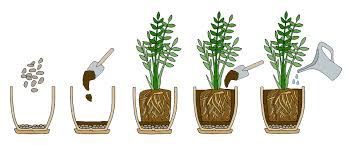 Custom Potting