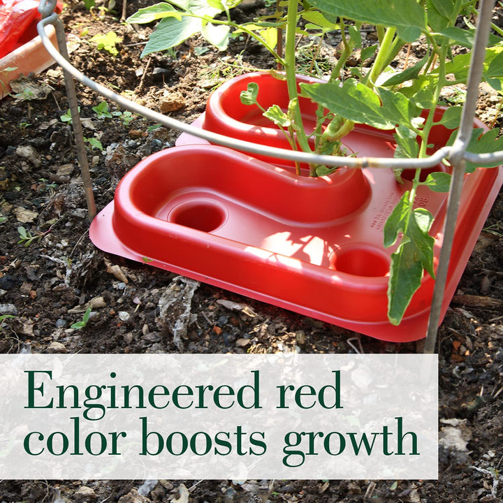 Automator Tomato Tray by Dalen 3 pack