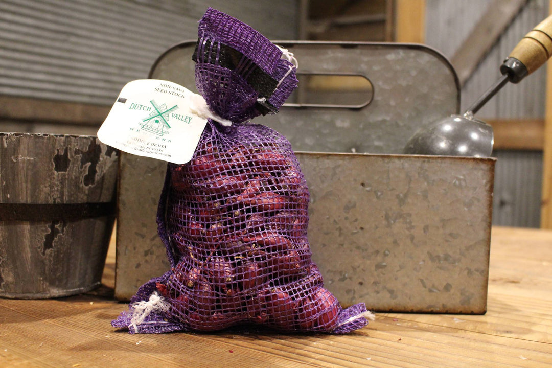 Dutch Valley - Red Onion Baby Bulbs