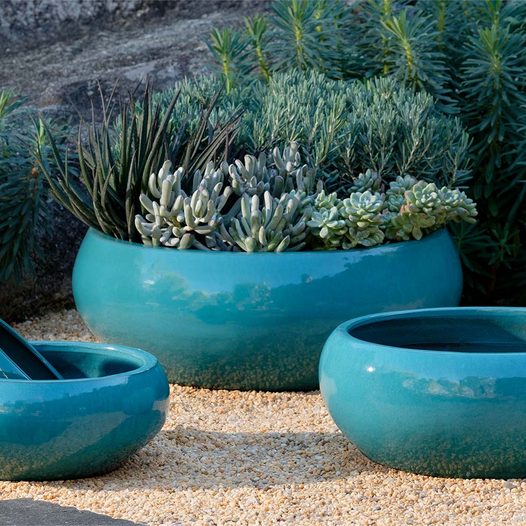 Sasha Planter (Agave)