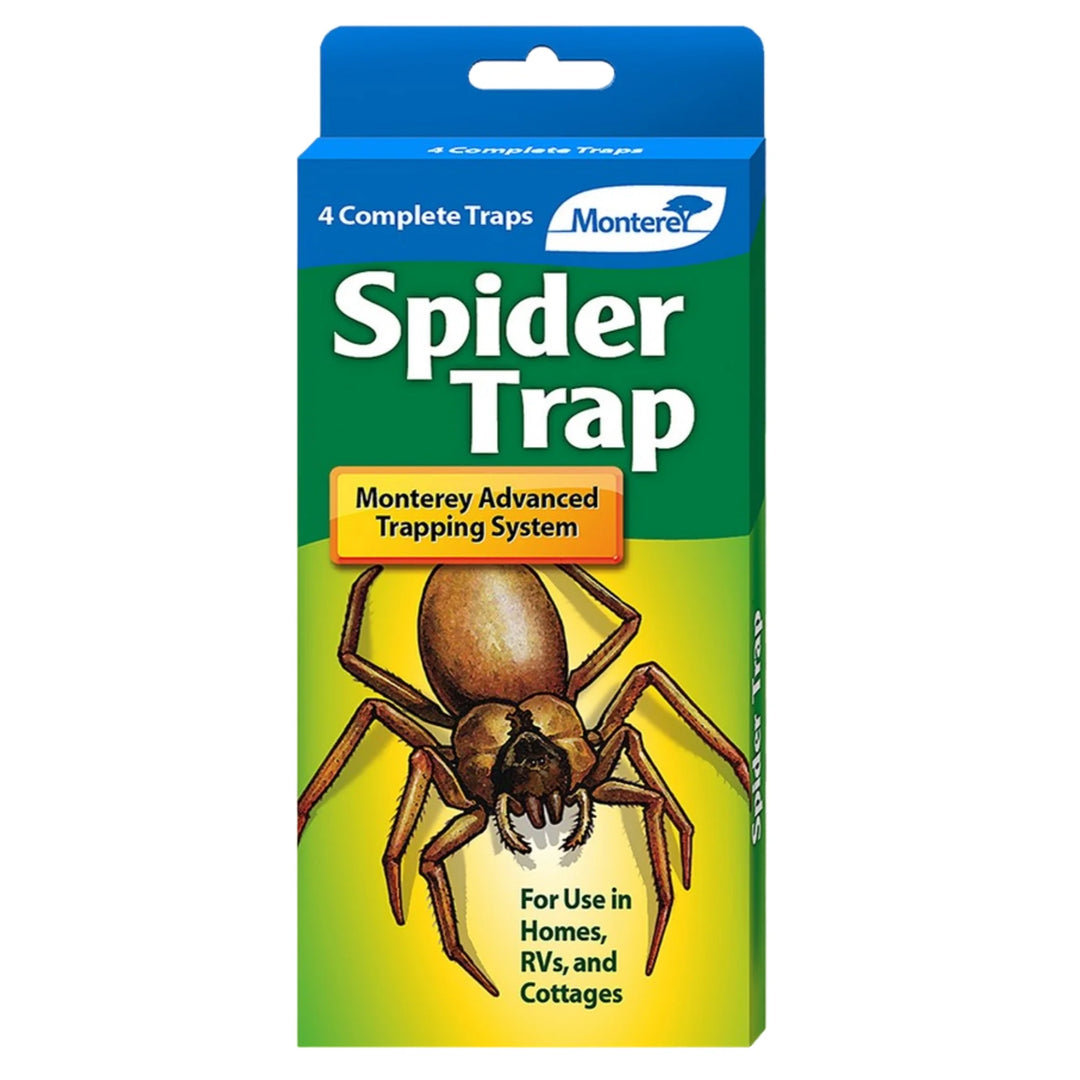 Monterey Spider Trap