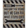 Wall Decor - Can't Fix Stupid