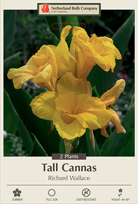 CANNA RICHARD WALLACE 2/3 eye